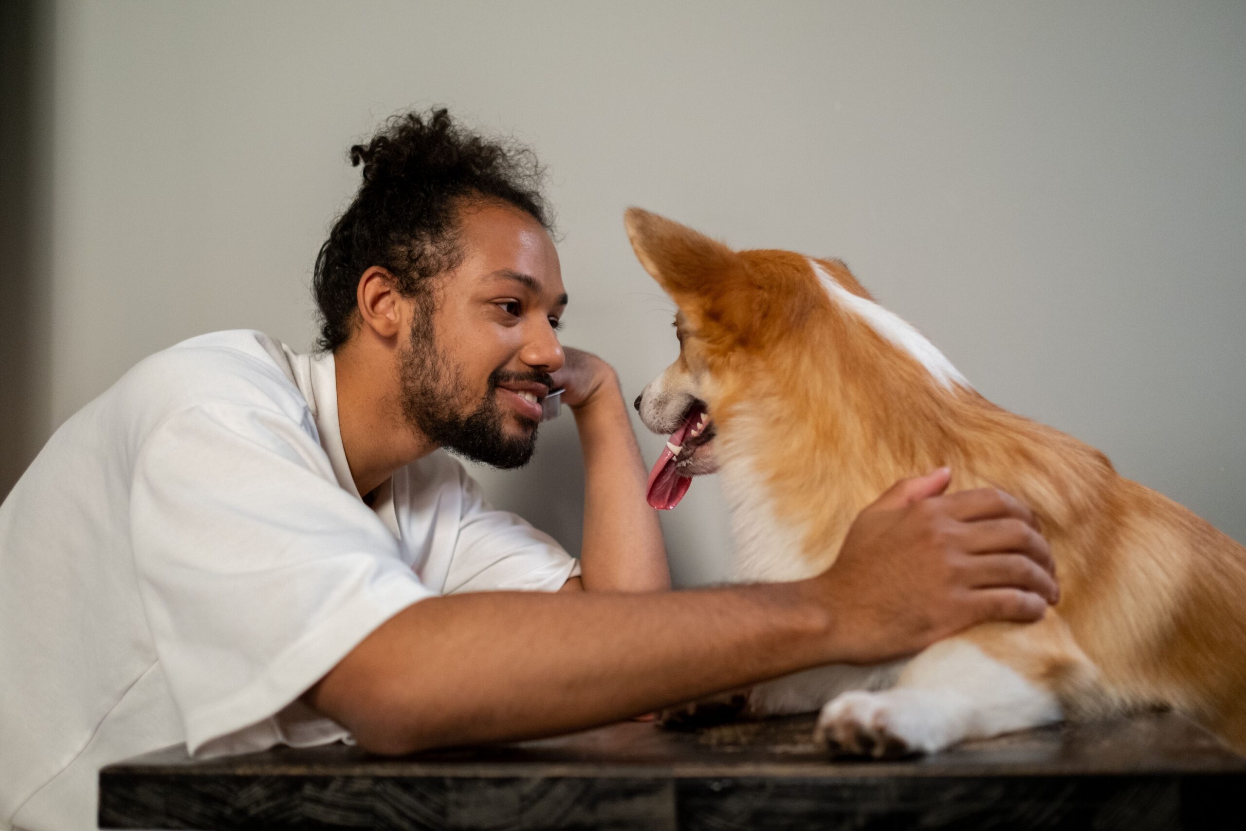 18 Abilities Dogs Hold Onto That Owners Dismiss Until They Watch It Happen Repeatedly