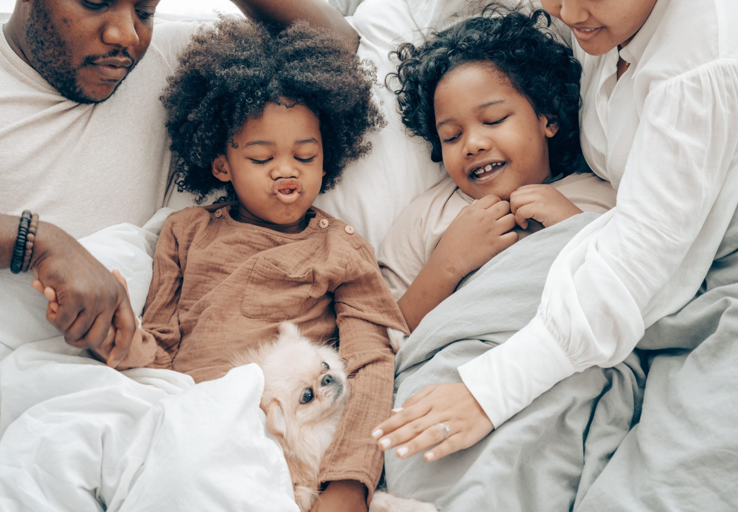 18 Tiny Daily Routines a Dog Will Not Abandon No Matter How Much the Household Shifts Around It