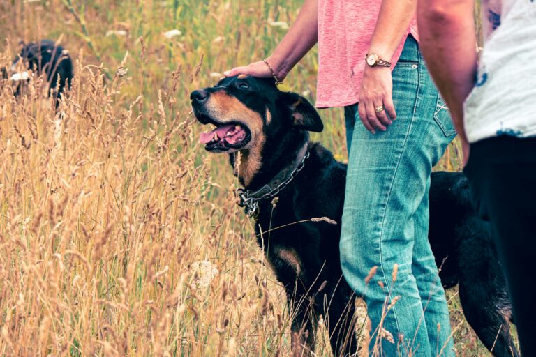 18 Abilities in Rescue Dogs Specialists Have Failed to Reproduce Despite Many Deliberate Attempts Over Decades