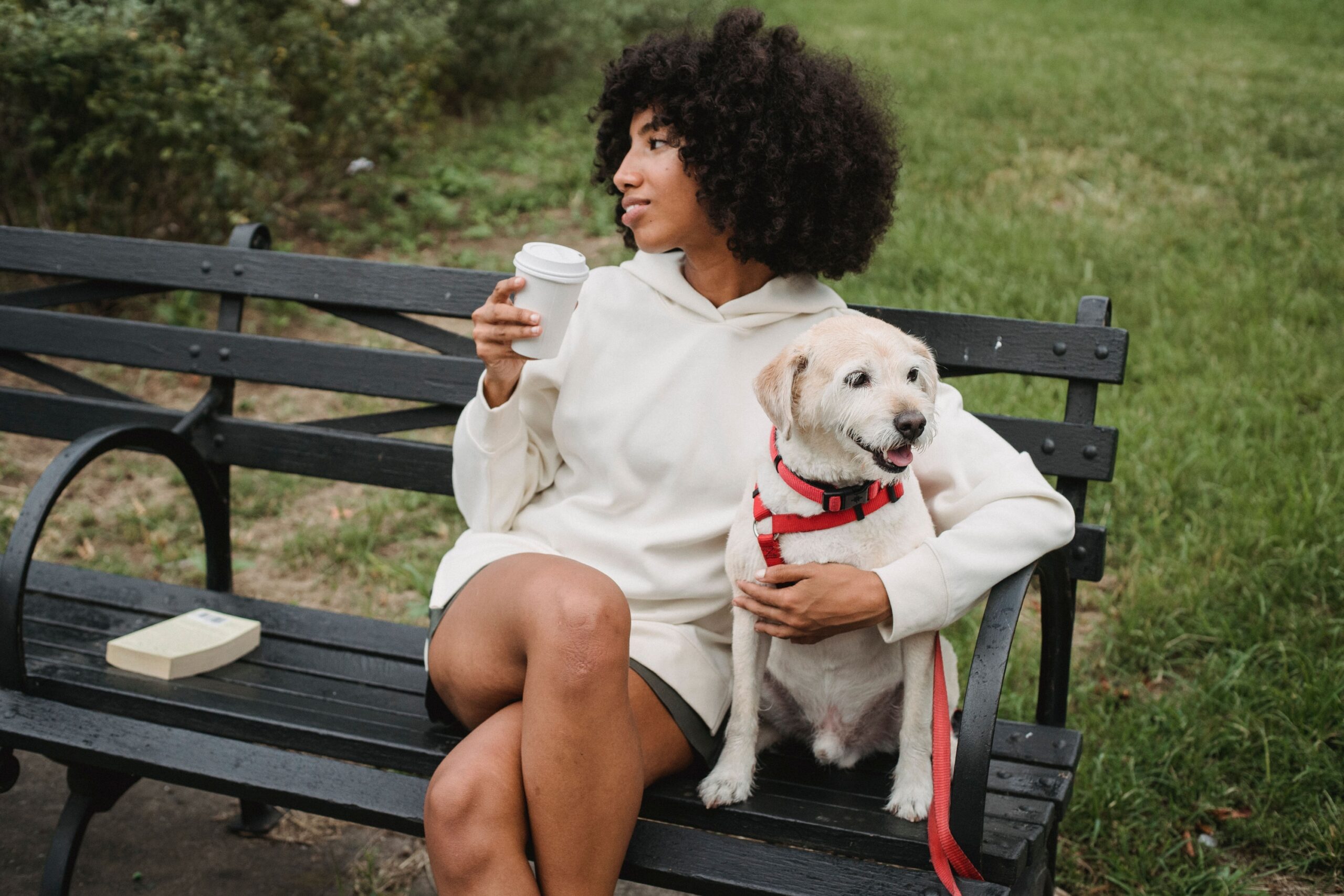 19 Things a Dog Learns to Expect From One Person That It Never Expects From Anybody Else