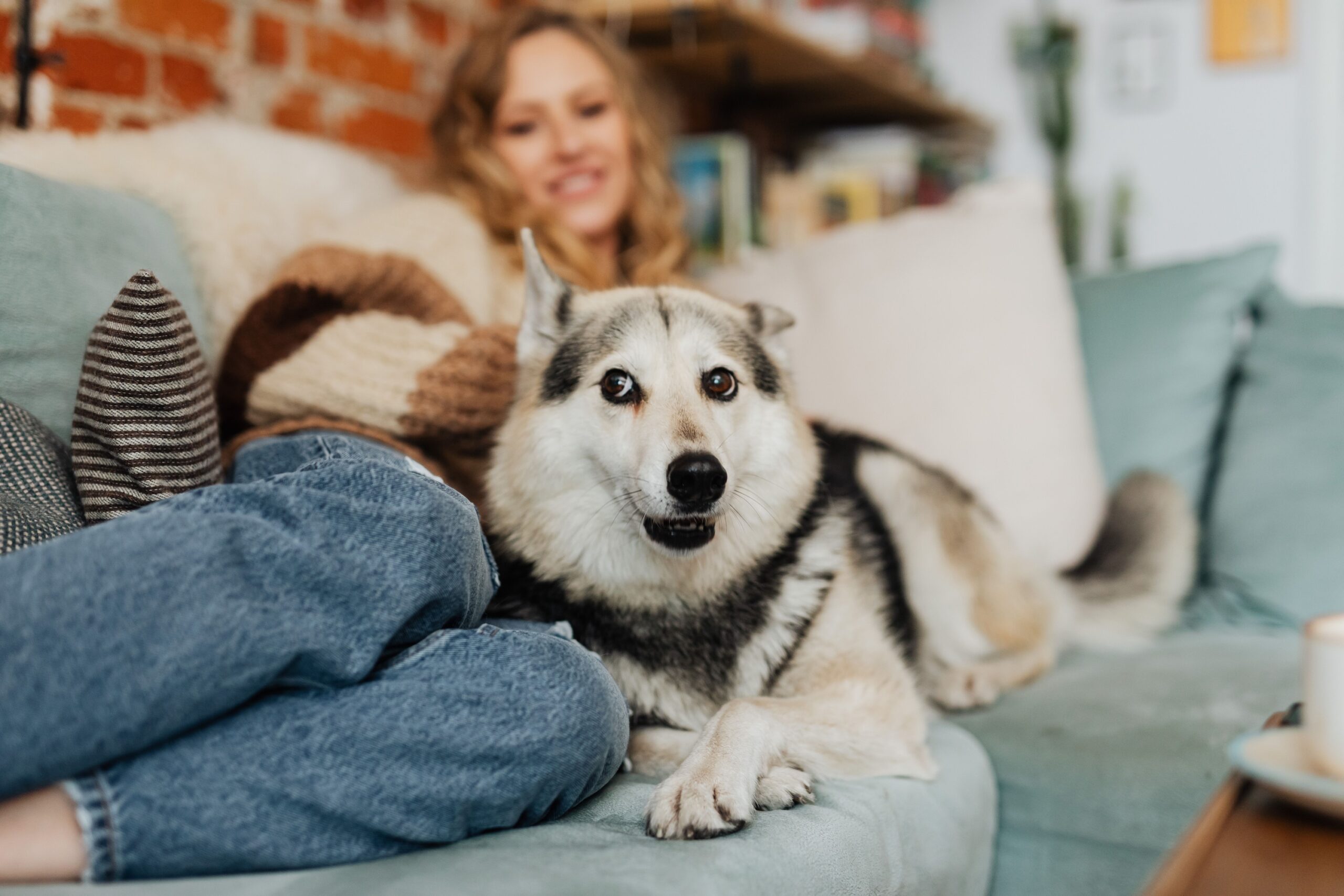 17 Details Experienced Fosterers Read in a Dog That Nobody Has Managed to Settle Before They Arrived