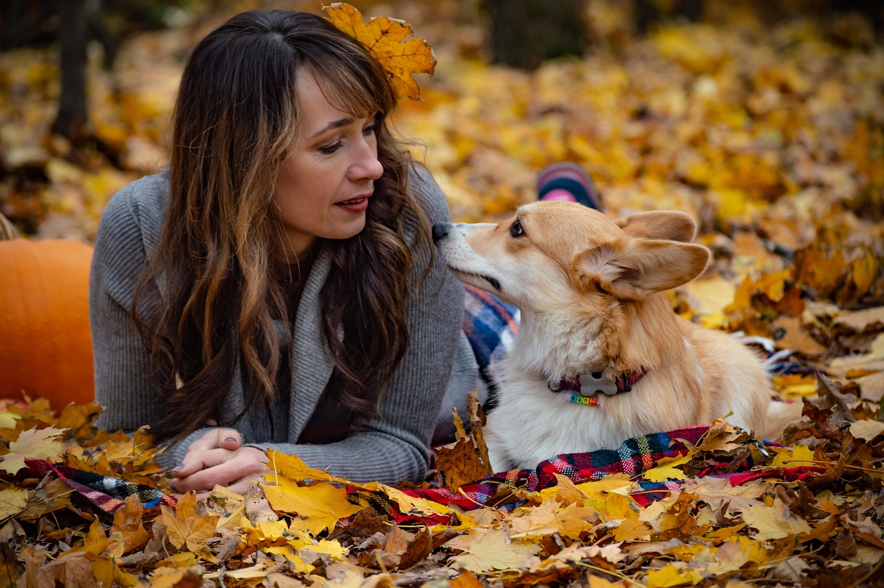 17 Small Habits Dogs Form Within Days of Arriving That Owners Take Years to Understand