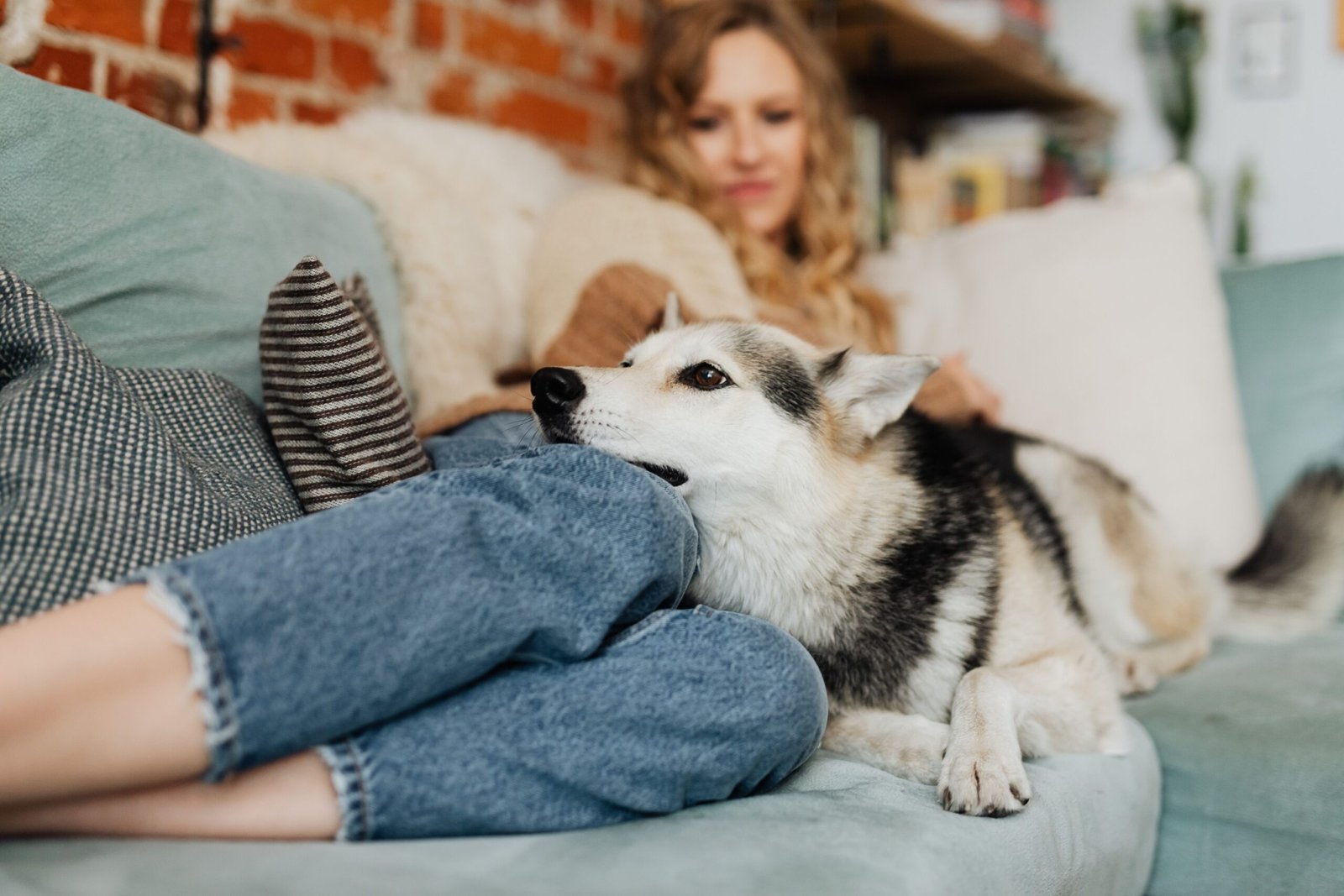 13 Tiny Daily Routines a Dog Builds Around One Person Without Anybody in the House Noticing