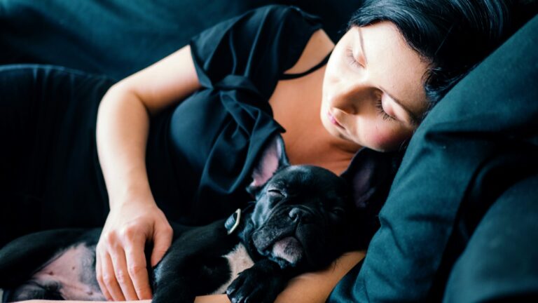 13 Ordinary Routines That Make a Dog Feel So Settled It Stops Watching the Front Door Entirely