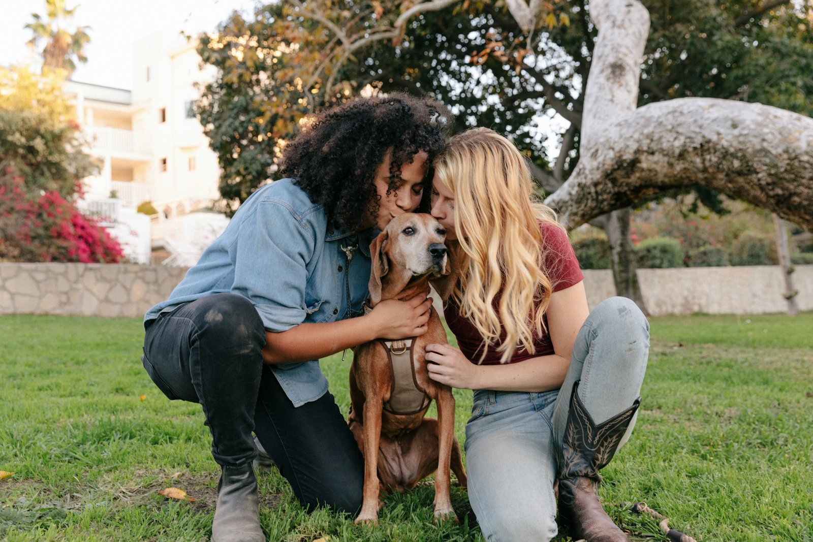 17 Moments a Dog Stores From an Ordinary Day That Shape How It Greets the Person Coming Home