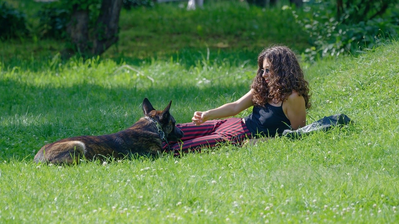 14 Things Trainers Pick Up in a Dog That Predict How Quickly a Household Will Actually Settle
