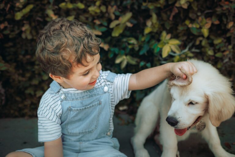 14 Moments a Dog Keeps From a Holiday the Family Has Already Forgotten