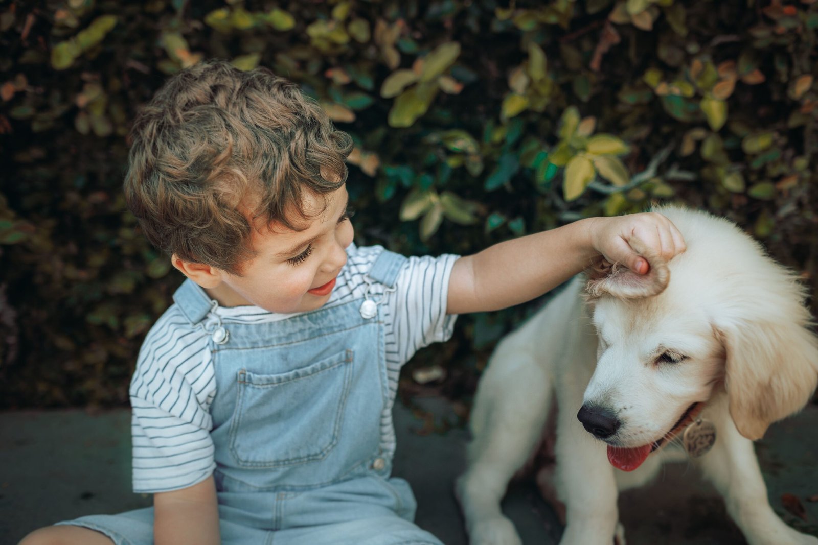 14 Moments a Dog Keeps From a Holiday the Family Has Already Forgotten