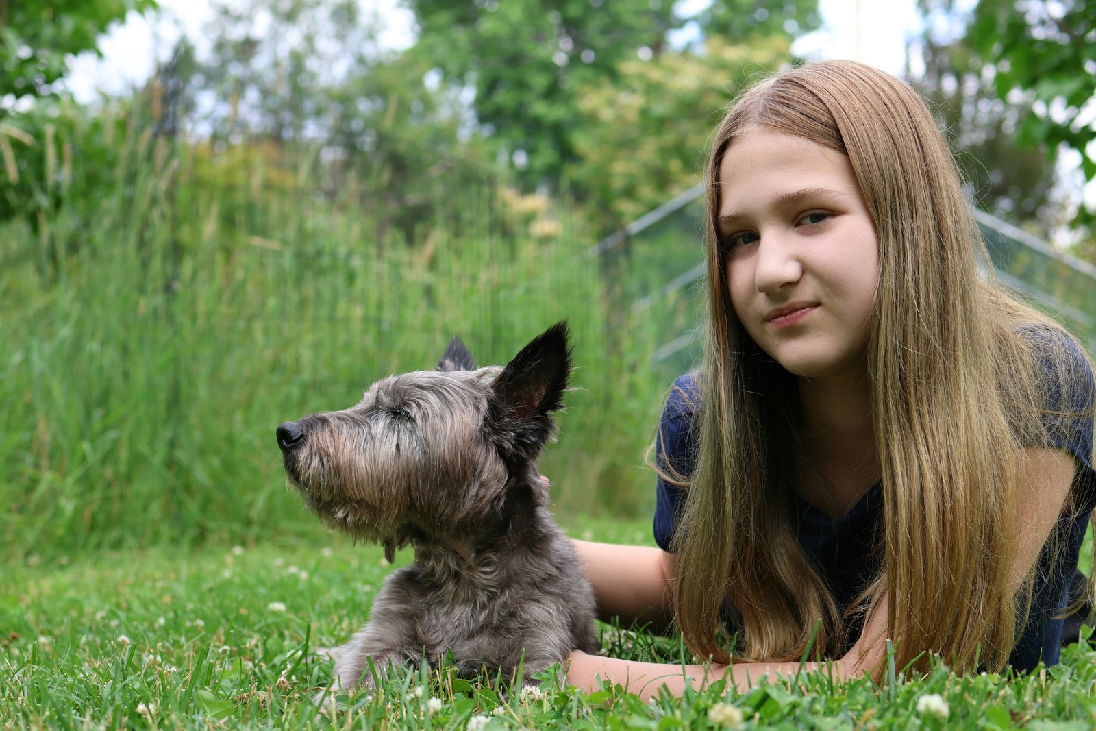 15 Things a Behaviourist Can Tell About a Household From Watching One Dog