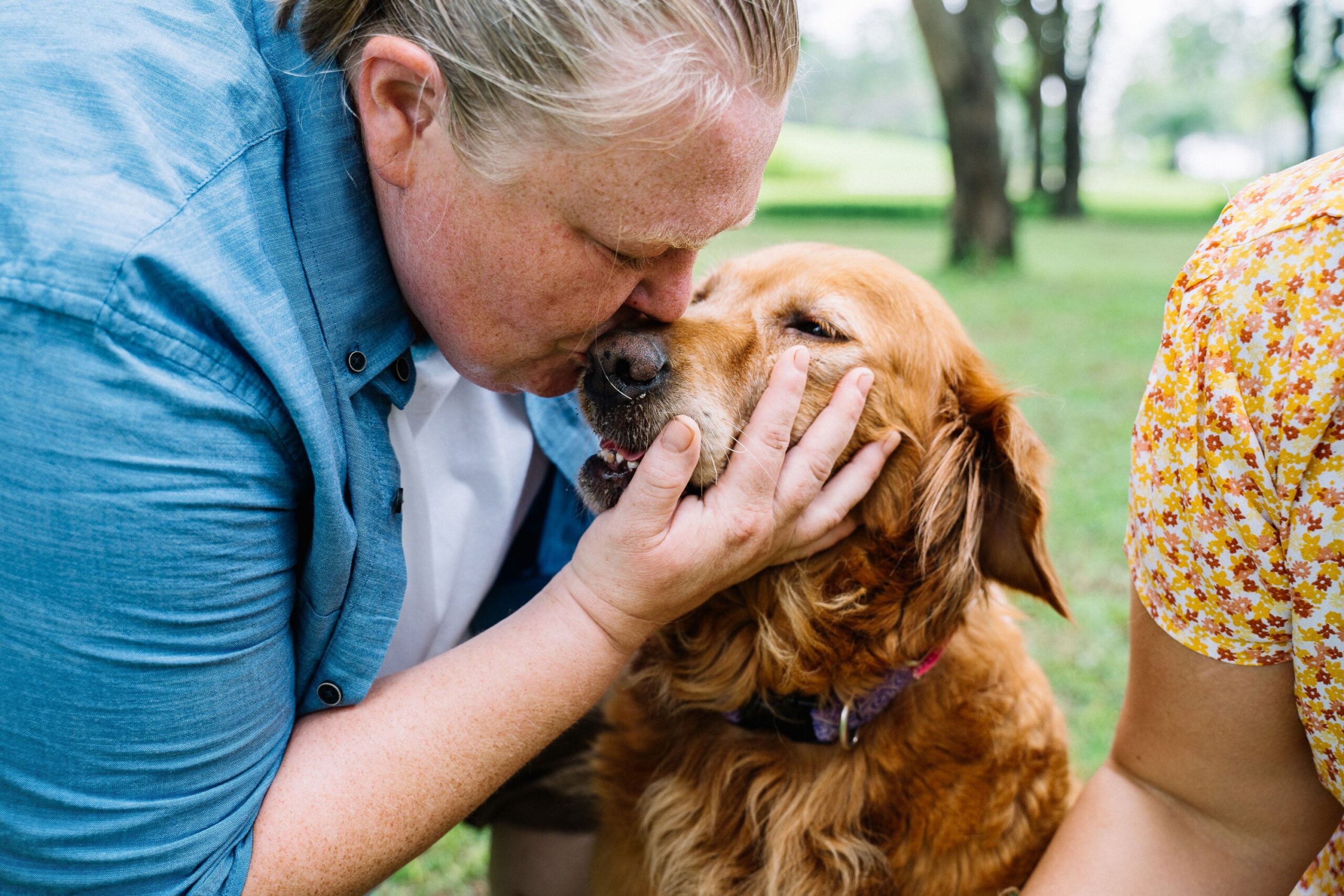 14 Things Golden Retriever Owners Defend That Nobody Outside the House Understands