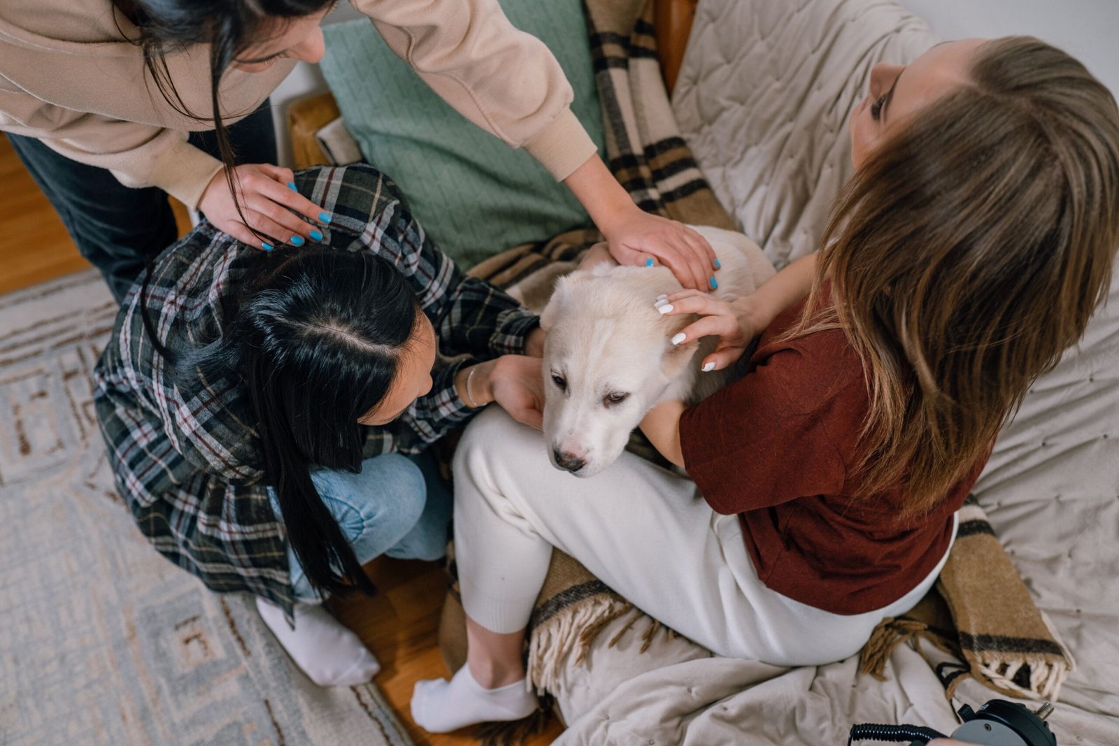 15 Things a Dog Trainer Notices in the First Session That Owners Never Mention