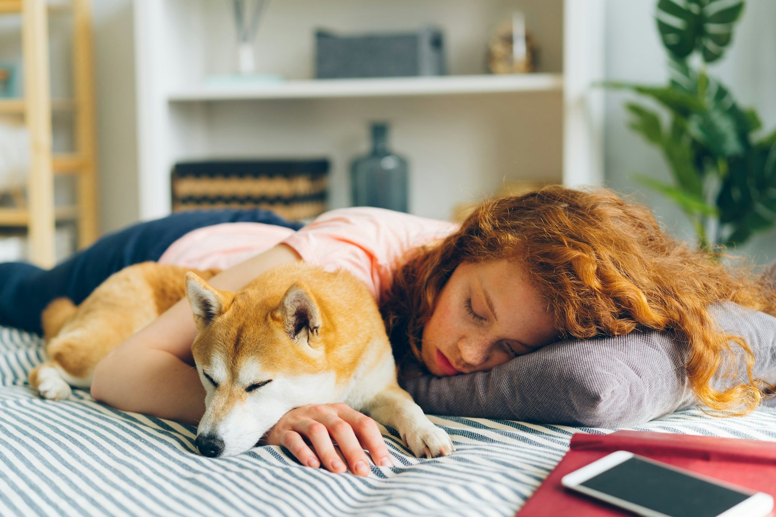 12 Parts of a Morning a Dog Notices Before Anybody in the House Is Awake