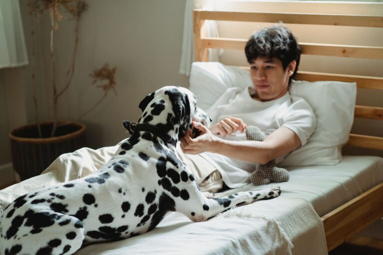 14 Small Moments a Dog Stores From an Ordinary Tuesday and Never Lets Go