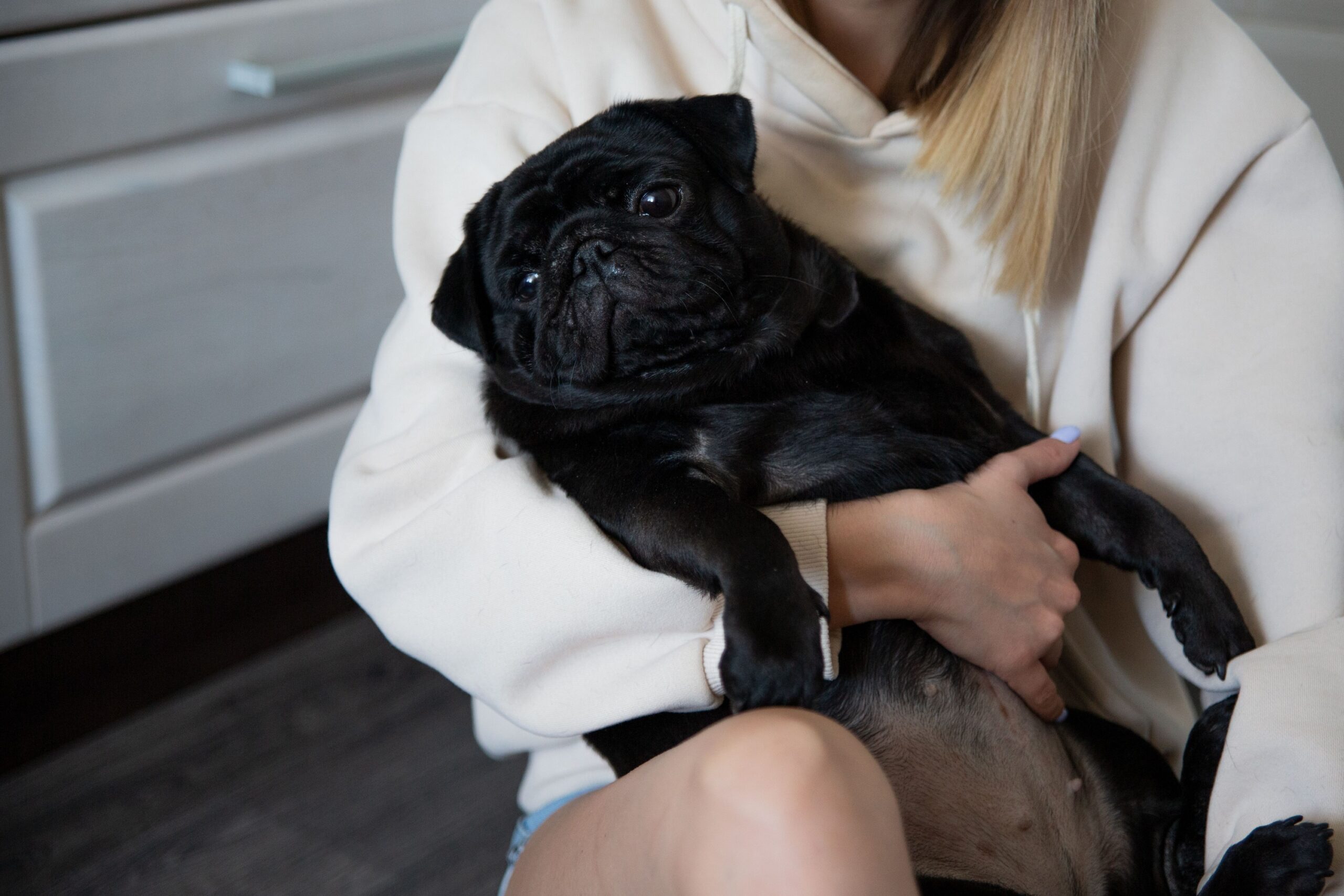 Animal Behaviorists Say When Your Dog Places Their Head in Your Lap Without Being Invited They Have Registered a Drop in Your Mood Before Any Outward Sign Was Visible