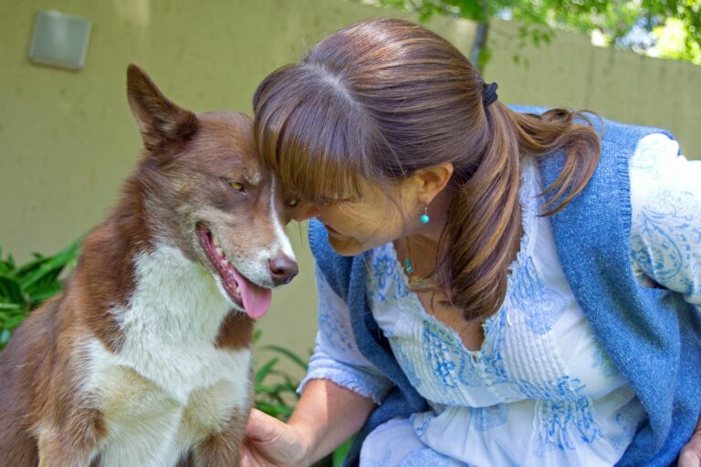 10 Things Your Dog Never Gets Tired of Receiving From Their Favorite Person