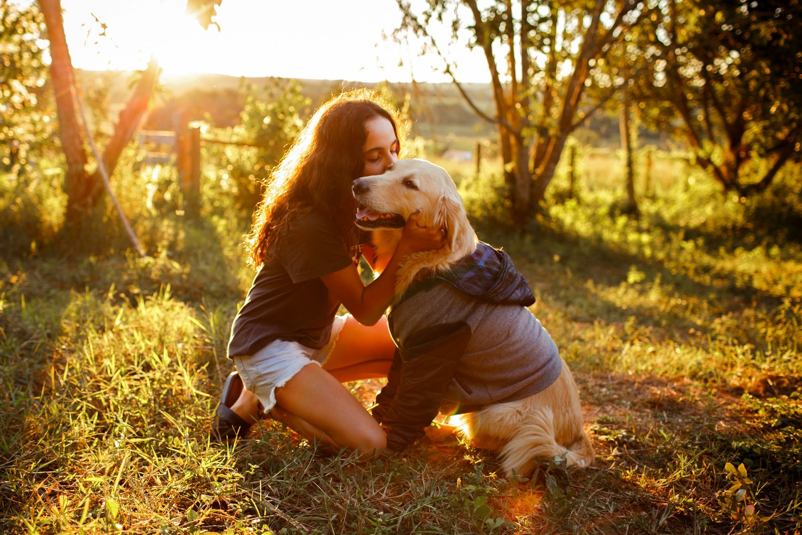 12 Things Your Dog Learns About Your Heart Simply by Sharing a Life With You
