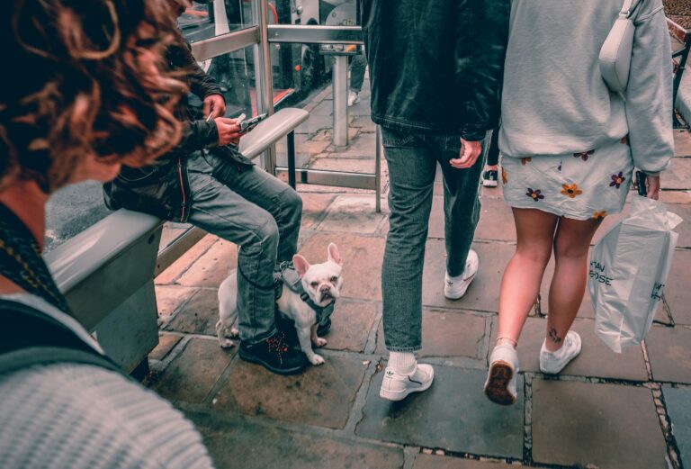 Dogs Who Suddenly Get Between Two Family Members Aren’t Always Being Protective – The Emotional Energy in the Room Can Matter