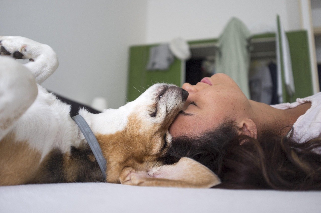 9 Things That Change in Your Relationship When Your Puppy Becomes the Dog Who Has Known You for a Decade