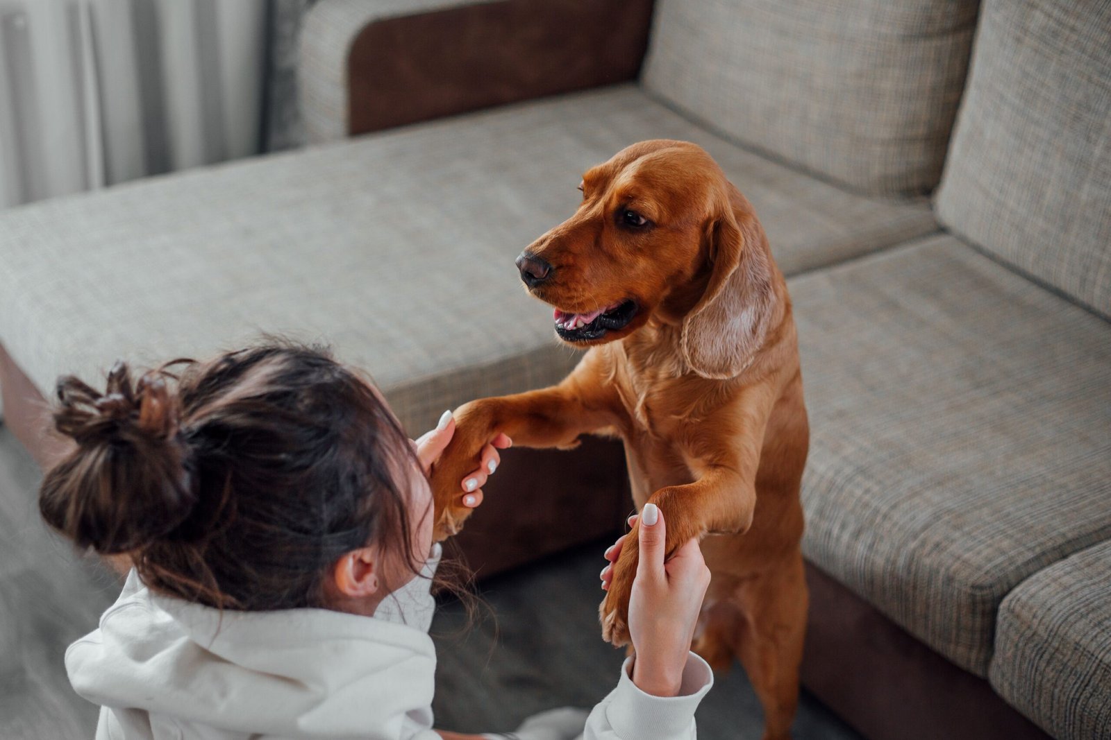 One Day Your Dog Will Play With Their Favorite Toy for the Last Time – And You Probably Won’t Know It Was the Last