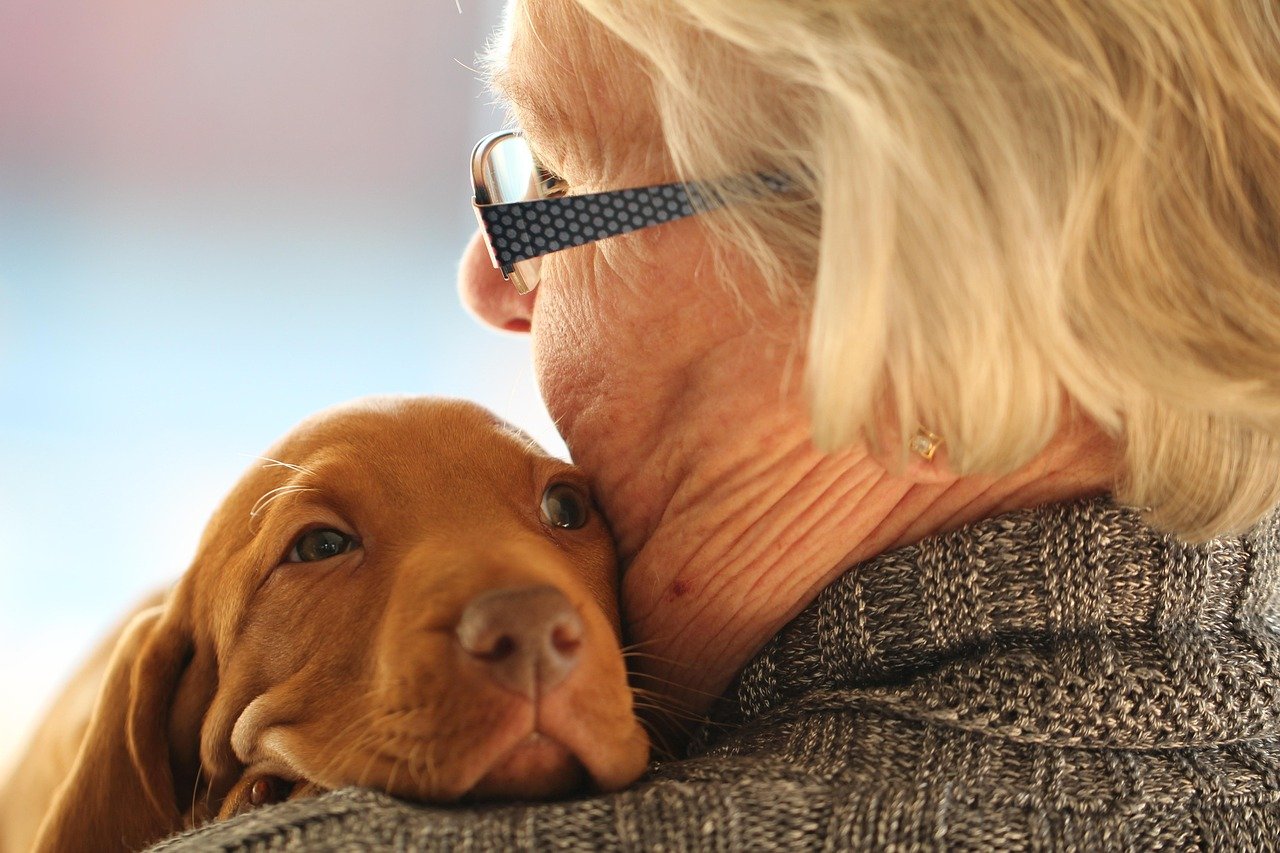 8 Dog Breeds That Remain Velcro Dogs No Matter How Old They Get