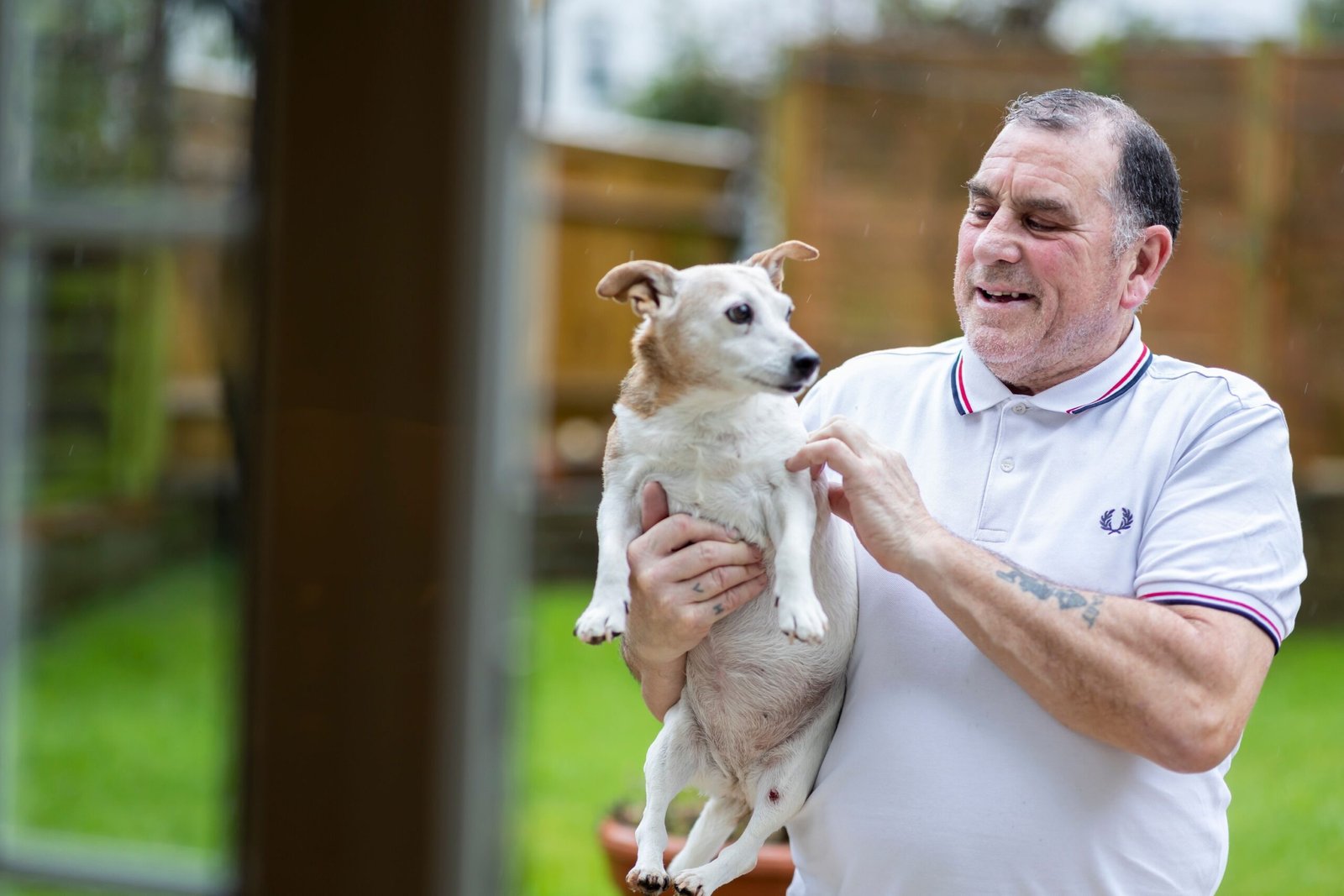 7 Dog Breeds That Keep Their Love of Play Well Into Their Senior Years