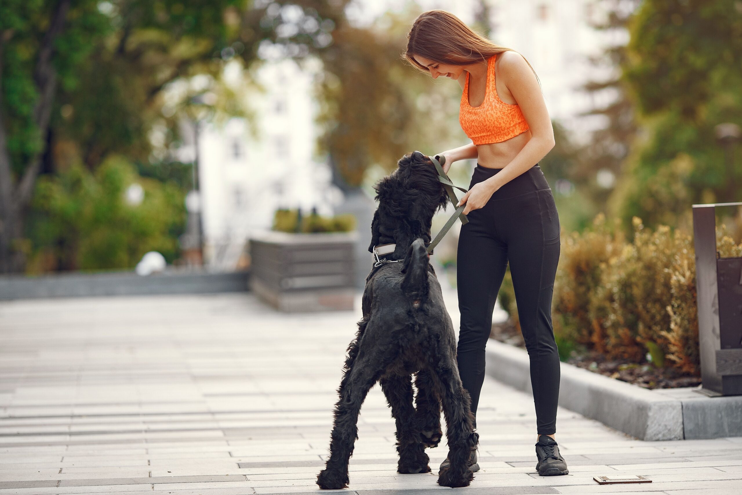 15 Signs a Dog Has Decided Somebody Is Worth Following From Room to Room