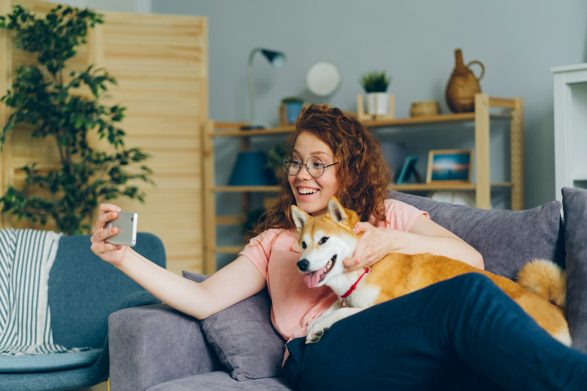 12 Tells a Dog Has Built a Routine of Its Own Inside Somebody Else's Day