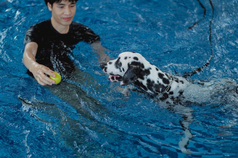 11 Reads a Physio Reads in a Dog Long Before It Reaches the Treatment Table