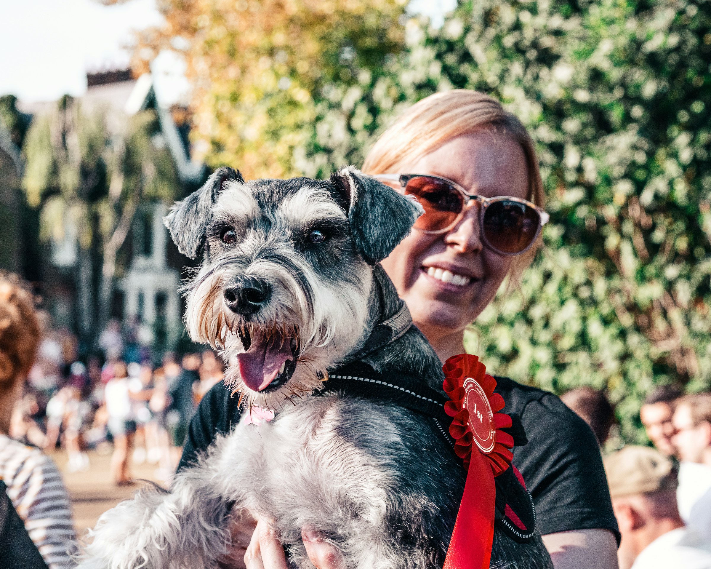 25 Things People Do Around a Nervous Dog That Make the Next Visit Worse