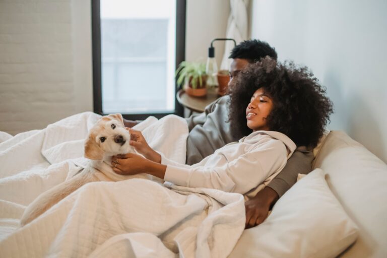 16 Details a Dog Notices in an Evening That Tell It the Day Is Winding Down