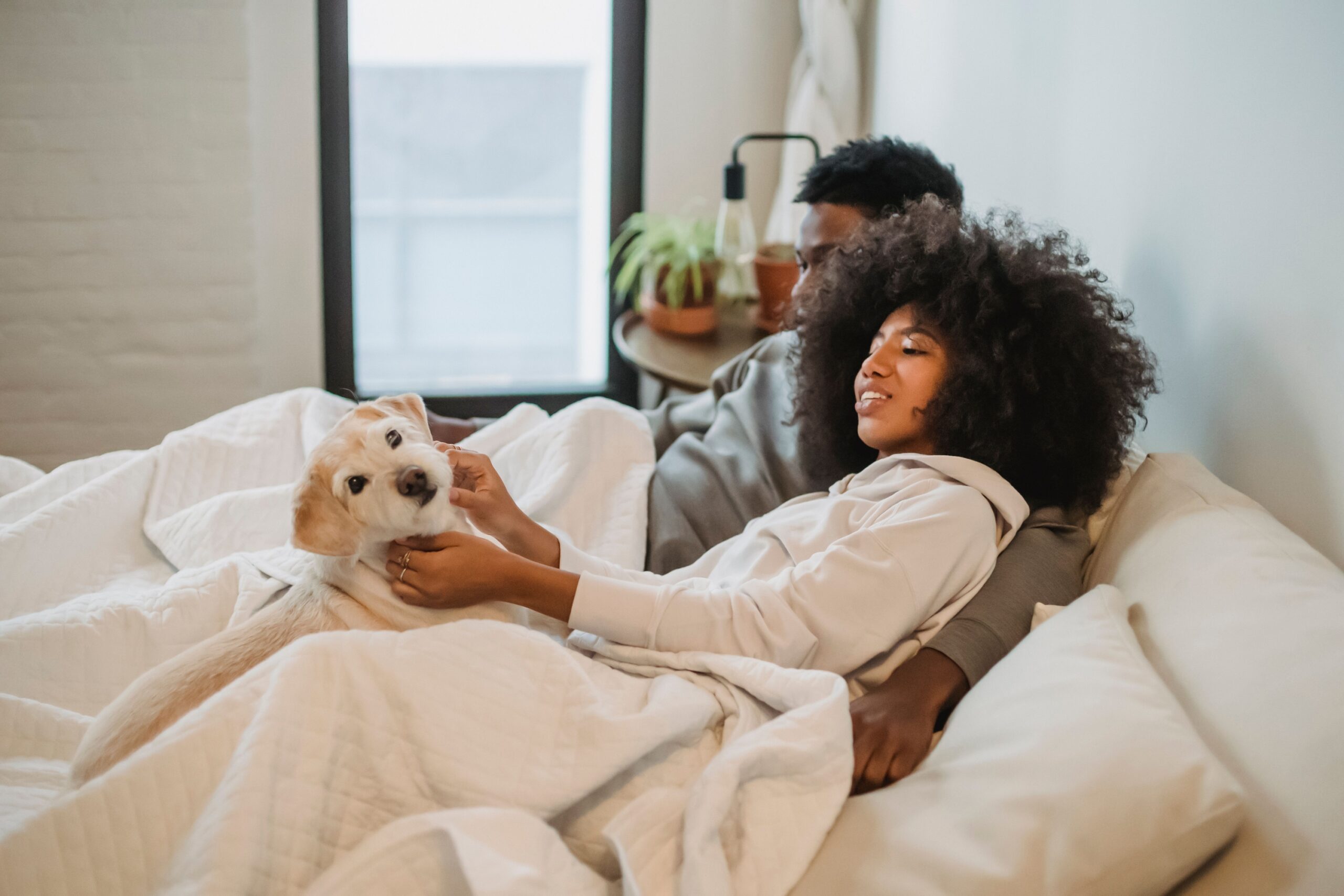 16 Details a Dog Notices in an Evening That Tell It the Day Is Winding Down