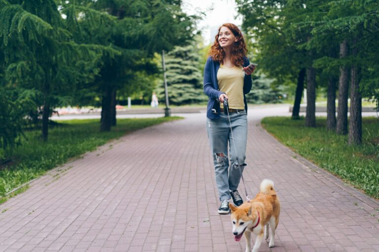 24 Things Owners Do on a Walk That Dog Walkers Would Rather Not See