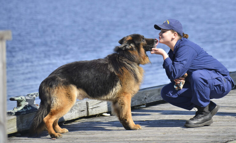 9 Moments in a Walk a Dog Notices That Its Owner Never Once Registers
