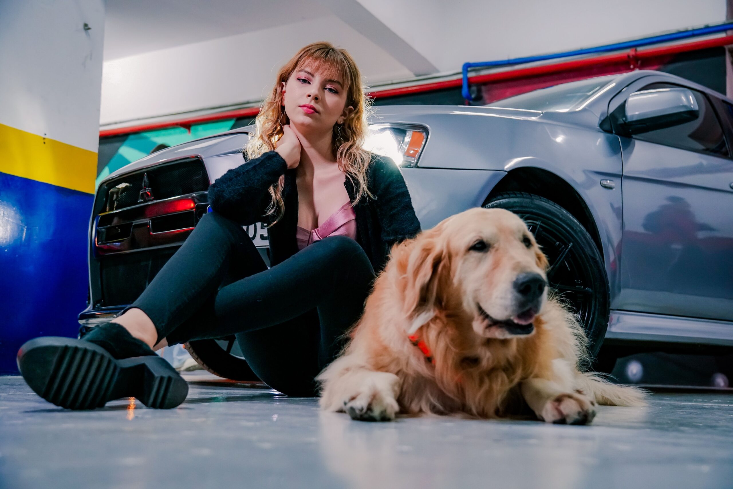 12 Moments a Dog Notices in a Car Journey It Has Only Ever Taken Once