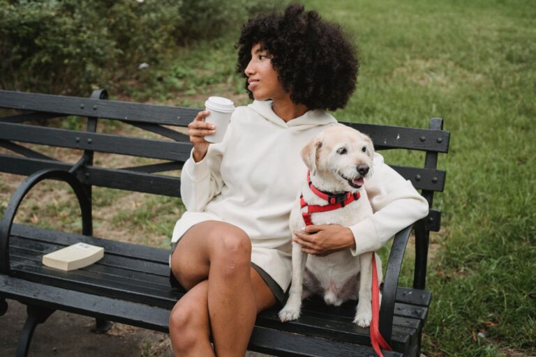 10 Signs a Dog Reads a Household Clock Better Than the People Living in It