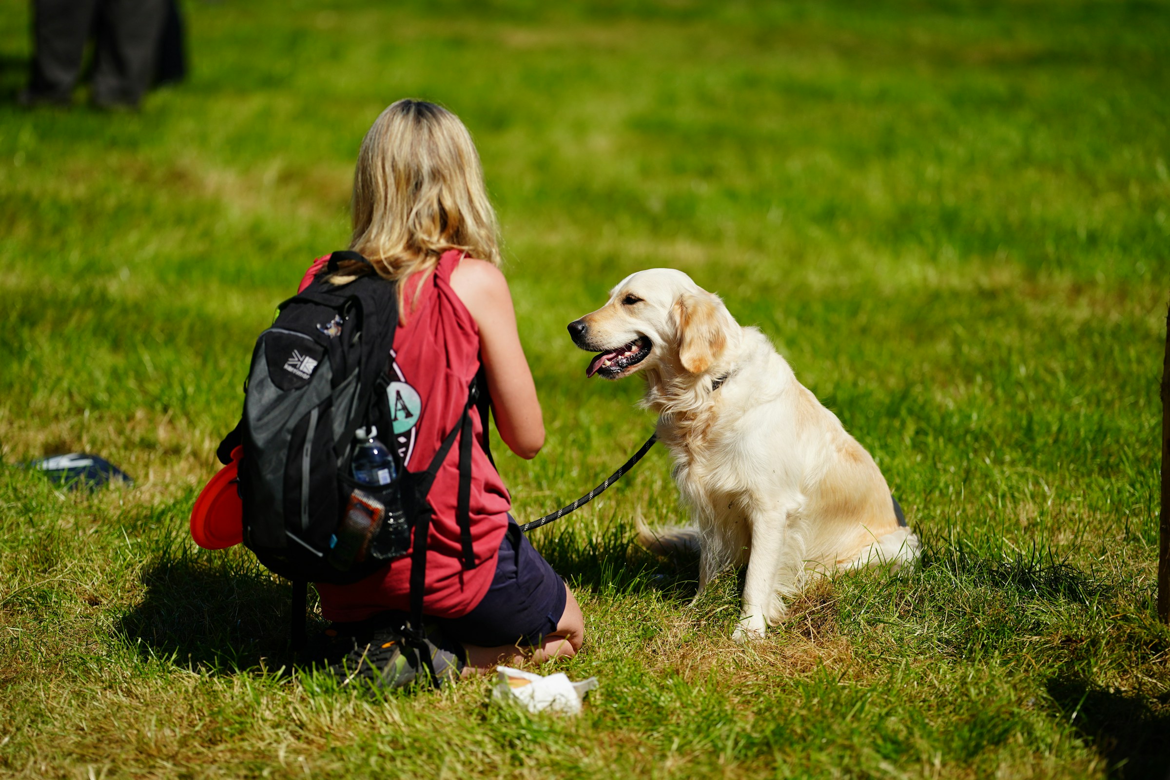 13 Things That Change for a Dog the Week the Children Go Back to School